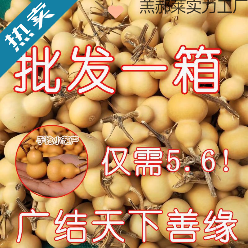 葫芦特价金捻里文玩小葫芦精品批发小手手把件天然葫芦挂件手捻