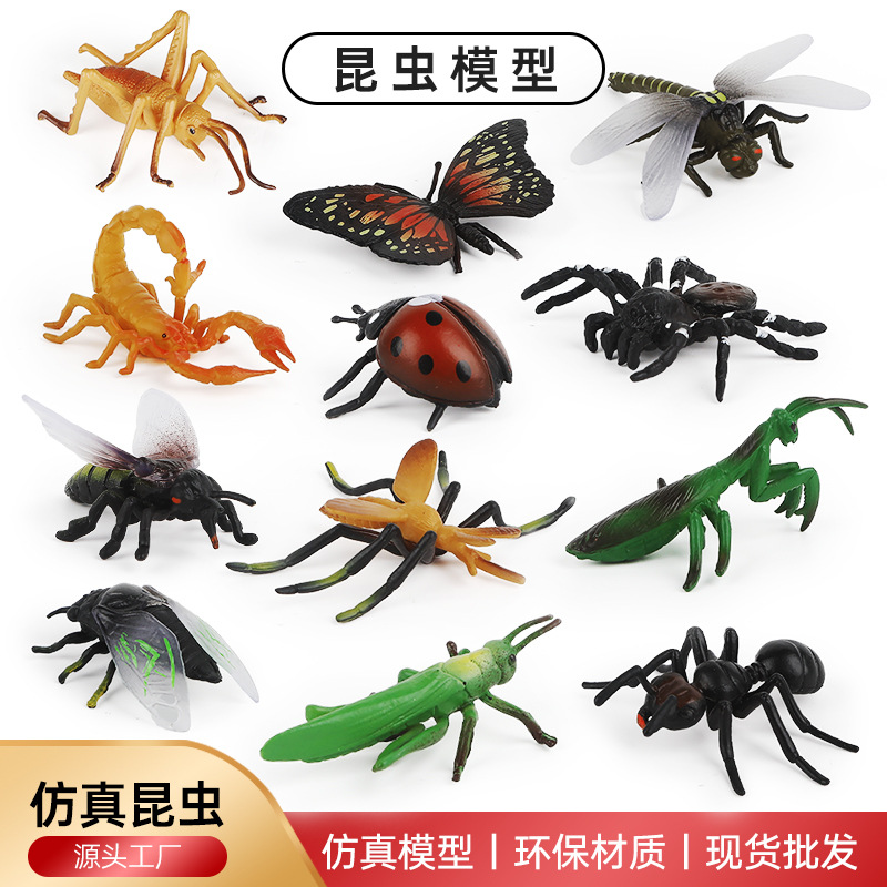跨境儿童昆虫玩具动物模型蚱蜢蝴蝶七星瓢虫蝎子蜘蛛蚂蚁蜈蚣摆件