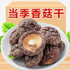 古田シイタケ乾燥品代発卸売り500g肉厚無根乾燥シイタケキノコ新商品ばら積スープ選別