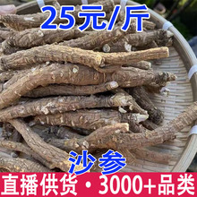 沙参 沙参条 大货批发