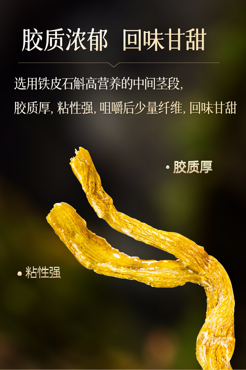 Tie Pi Shi Hu Dendrobium Gift Box 250g Premium Dried Tieguanyin Style Fengdou for Wellness Gifting in use