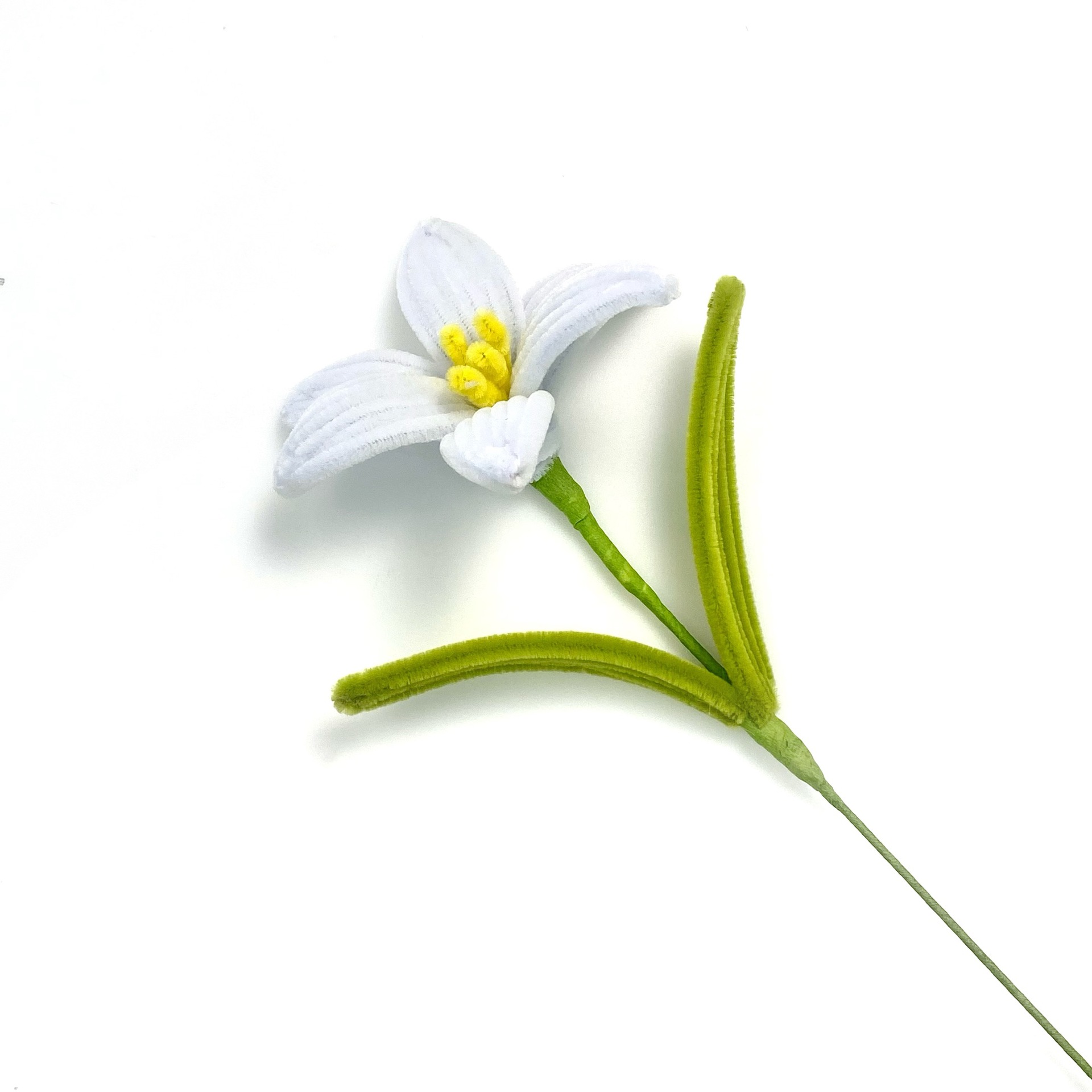 완성된 싱글 릴리 [순백색]