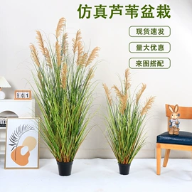 仿真绿植;仿真花;仿真枝叶和树