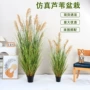 仿真家居盆栽落地仿真花