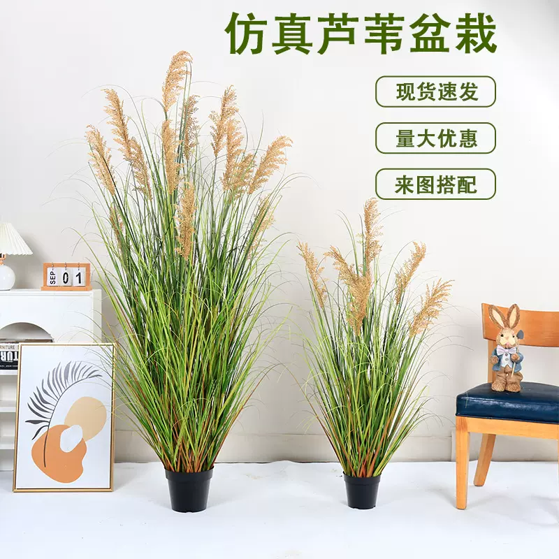 跨境仿真绿植芦苇草仿真花盆栽室内家居落地装饰造景摆件仿真芦苇