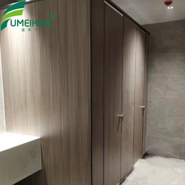 卫生间隔断;简易储物柜;护墙板