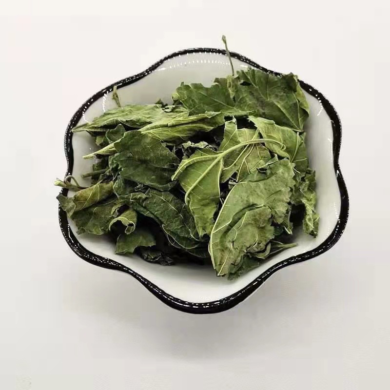 桑叶中药材批发桑叶 冬桑叶 产地货源量大从优 承接大货 桑叶-阿里巴巴