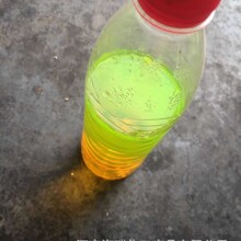 厂家直销 荧光绿 防冻液用荧光绿 着色剂荧光绿