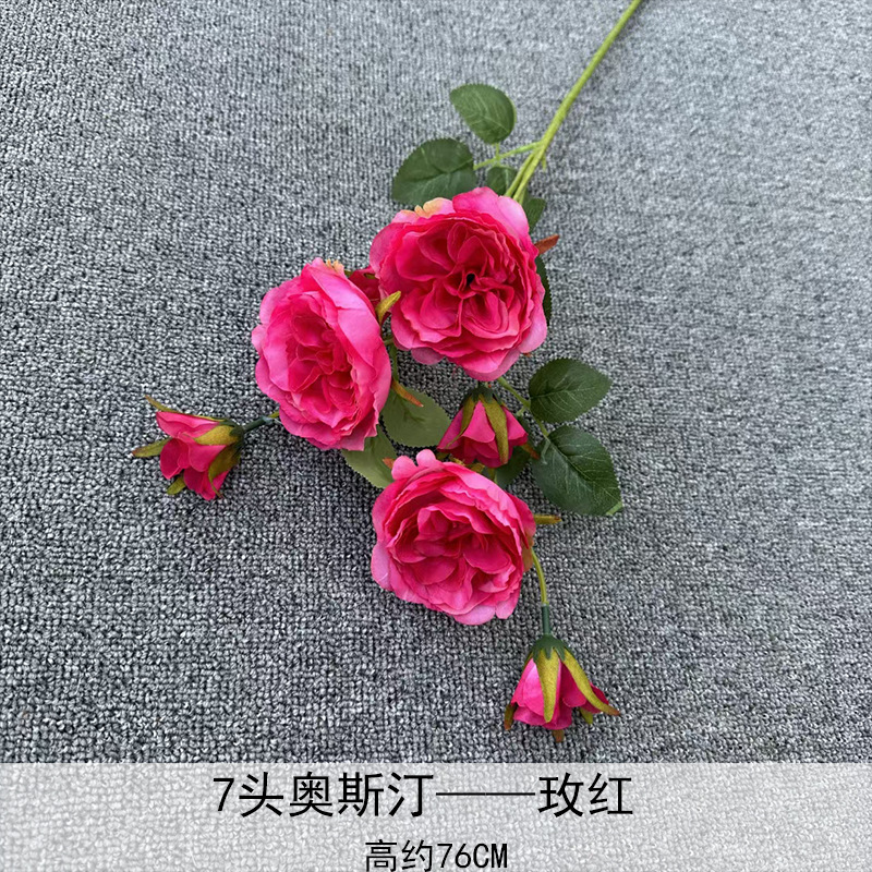 7 cabezas Austin Rose, rosa roja