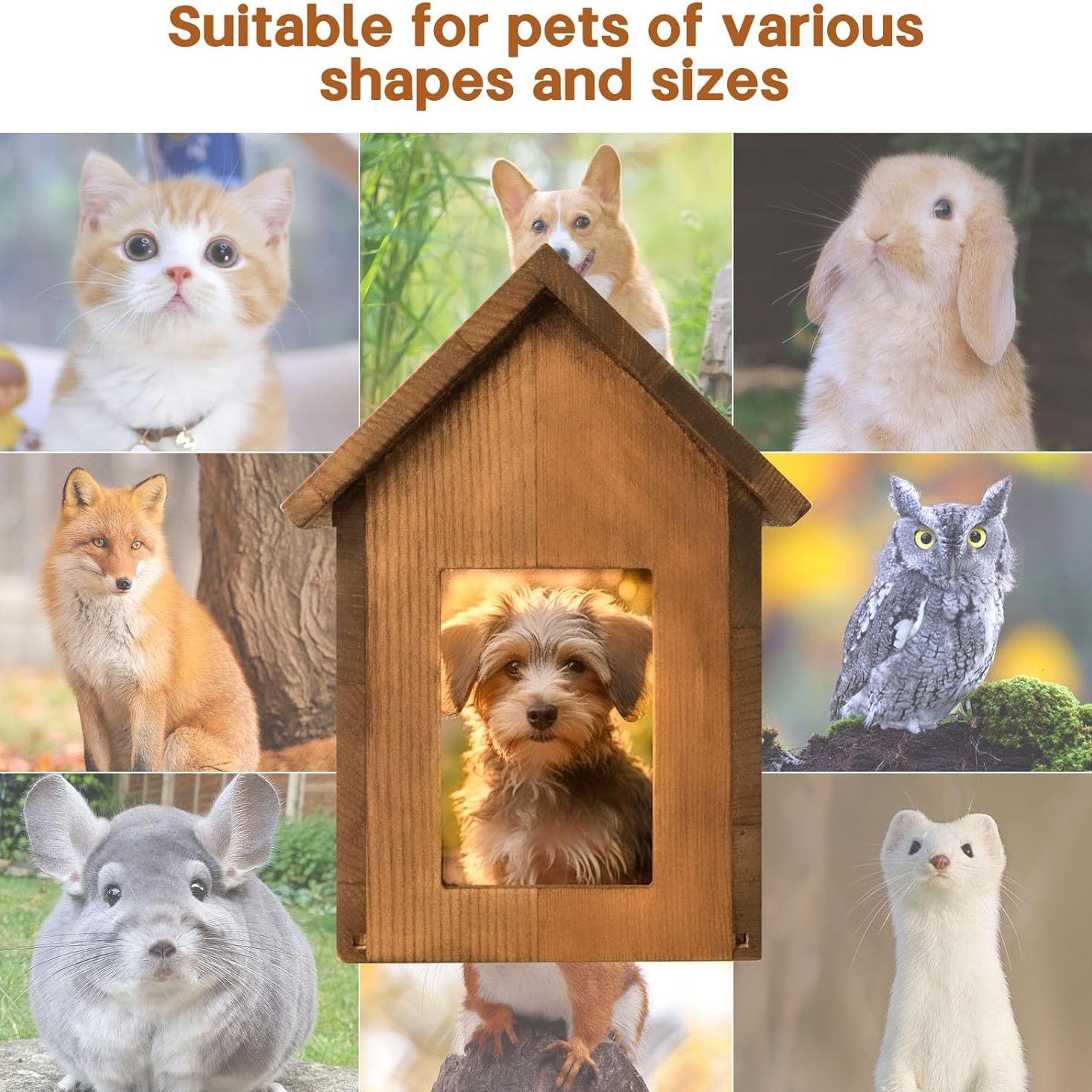 Pet memorial keepsake box