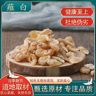 ޯ�� ޯ�� ޯ���^ �a�� Ұ�� СҰ�� ɽ�� ���]��؛��؛