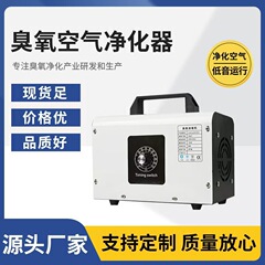 60g臭氧发生器批发家用除醛汽车空气净化机负离子空气消毒机