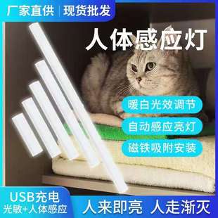 New Night Light Human Body Induction Light Cabinet Charging Bedside Aisle Light Toilet Strip Smart New Night Light