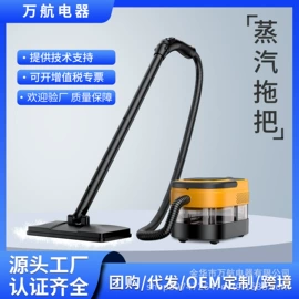 蒸汽清洁机;车用吸尘器;蒸汽拖把