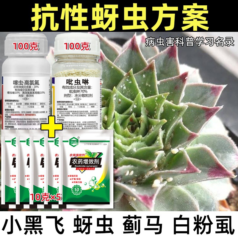 蚜虫杀虫剂果树蔬菜花卉抗性蚜虫杀虫药杀虫杀卵正品农药批发