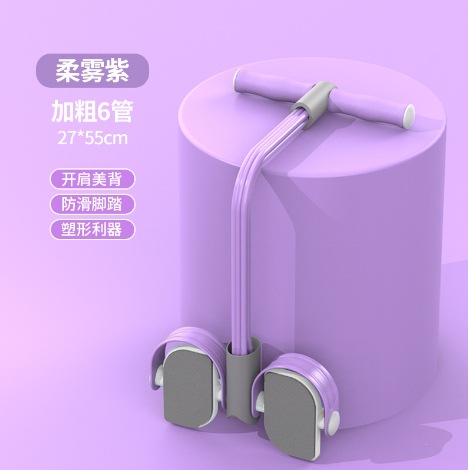 기본형 보라색 - 6합