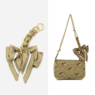 Bag Extended Chain Bow Bag with Chain Bag Hanging Chain Adjusting Long Shoulder Underarm Bag Belt DIY Bag Chain