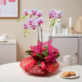 新中式镂空铁艺蝴蝶兰盆节日氛围装饰仿真花盆家居玄关软装插花器