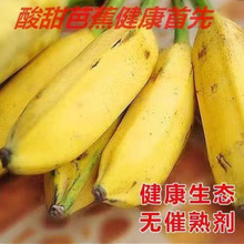 ���ڏV����Ž�����ɿڱ�Ƥ��ţ���������rˮ��ţ�ǽ�һ�������l