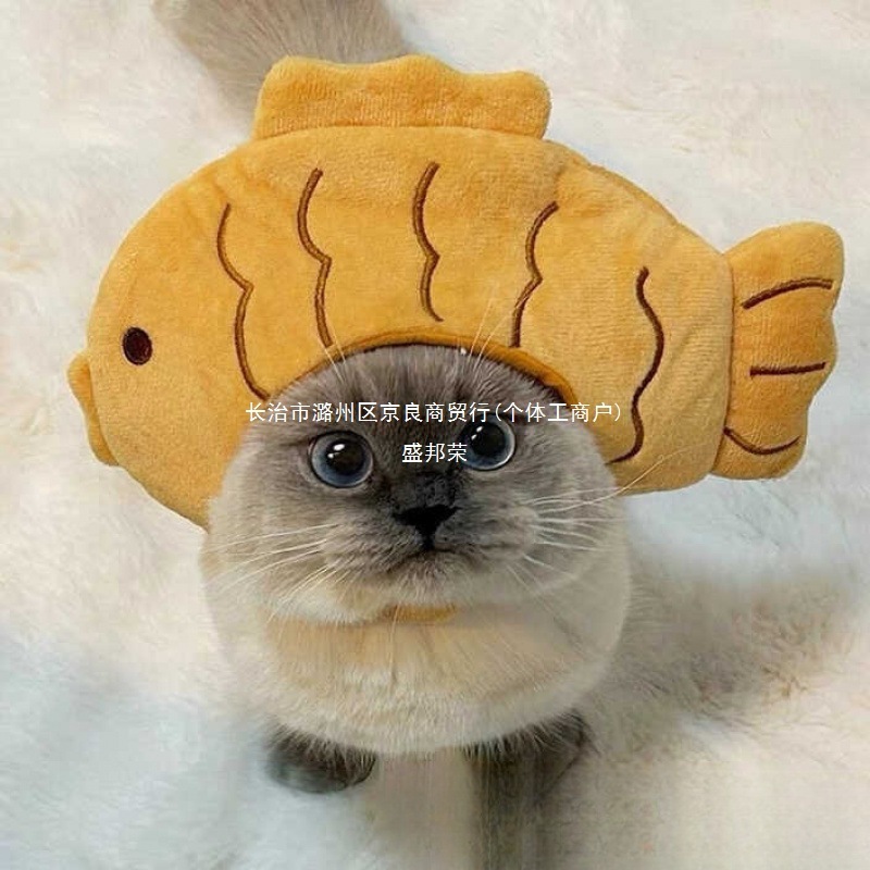 猫かわいい面白い女装帽子ペット帽子ゴールデングラデーション英国ショートヘアデボン犬ハンバーガーヘッドギア漫画帽子|undefined