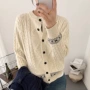 好看宽松新款秋季毛衣