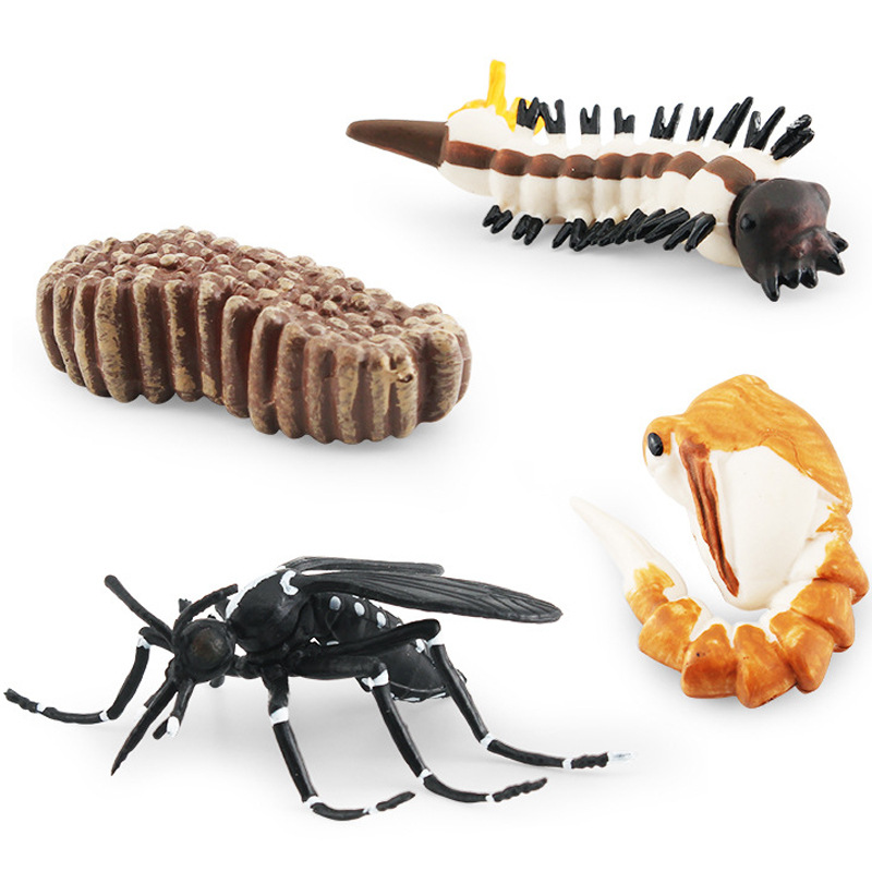 Simulación modelo animal juguete Caracol libélula mosquito saltamontes ciclo de crecimiento etapa vida cognitiva estática adornos