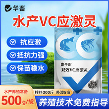 VCˮ�a�BֳVC�����`�������~�r�g�SC�~��늽��S����vc�~ș�