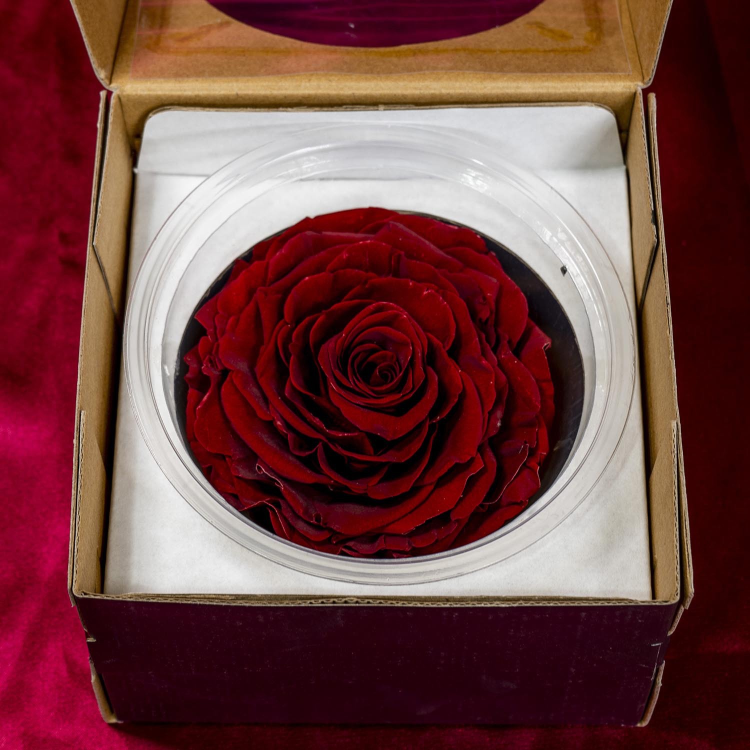 Yunnan Kunming Yongsheng Flor al por mayor 9-10cmA hecho a mano DIY flores regalos de Navidad con flores y flores