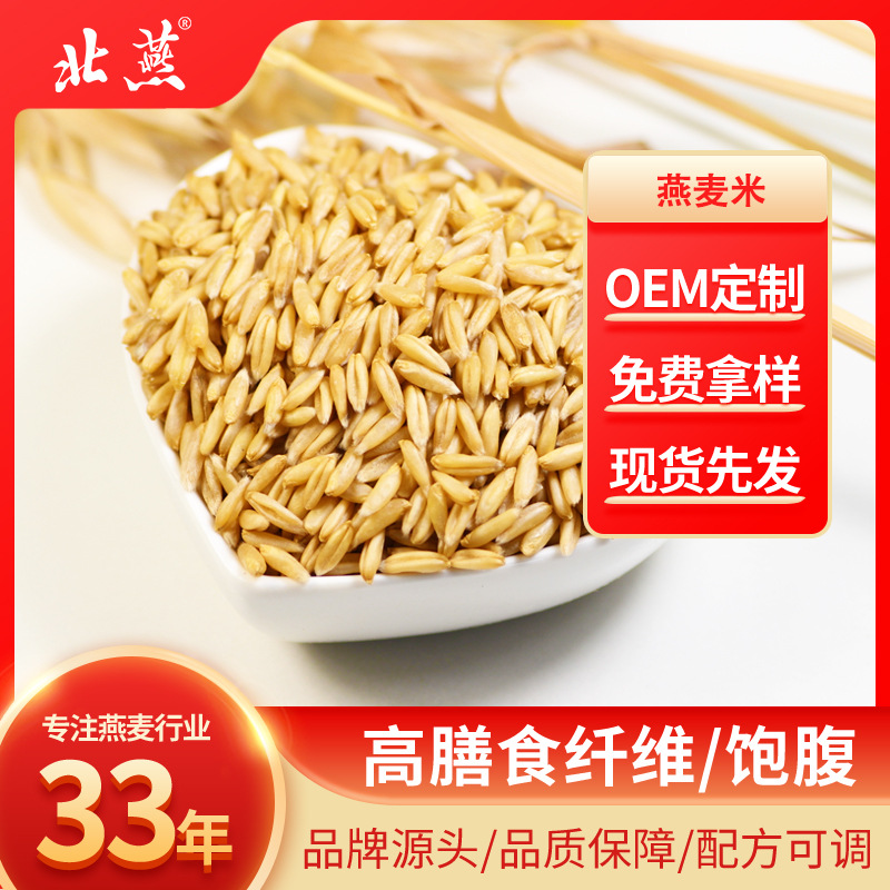 northern yan Oat Grain Coarse Cereals wholesale Oat kernel Of large number supply high quality Oat Manufactor Supplying