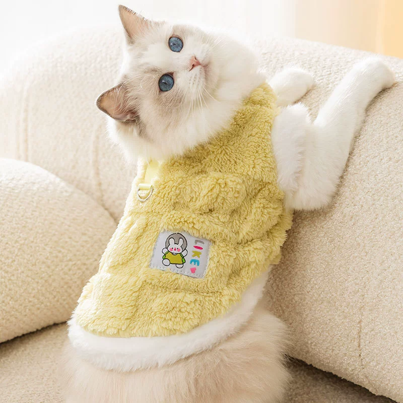 Кошачья одежда осенью и зимой