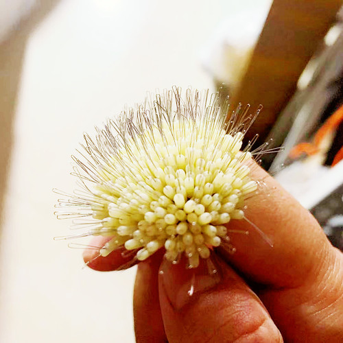 Silicone Space Beans Bulk Athletic Line Set Spotted Crystal Green Shadowless Beige Milky White Fruit Green Super Tight Black Glue Beans