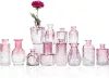 Fuchsia set, 12 pieces, gradient