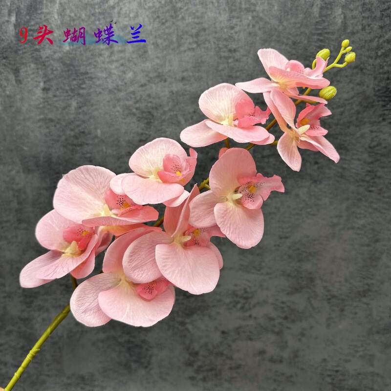 3D Printing 9-Head Coated Silk Phalaenopsis Artificial Flower Wedding Home Decoration Arrangement Fake Flower Ornaments Wholesale