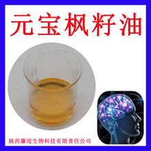 神经酸油6%价格元宝枫提取物现货元宝枫籽油