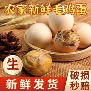 ���rë�u�����������u�ߵ�ϲ�����u�뵰ȫ�����Ĵ������lС�u