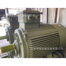 ��϶���늙C Ʒ�|���� Y2X250M-4-55kw ����늙C�S늙C�F؛