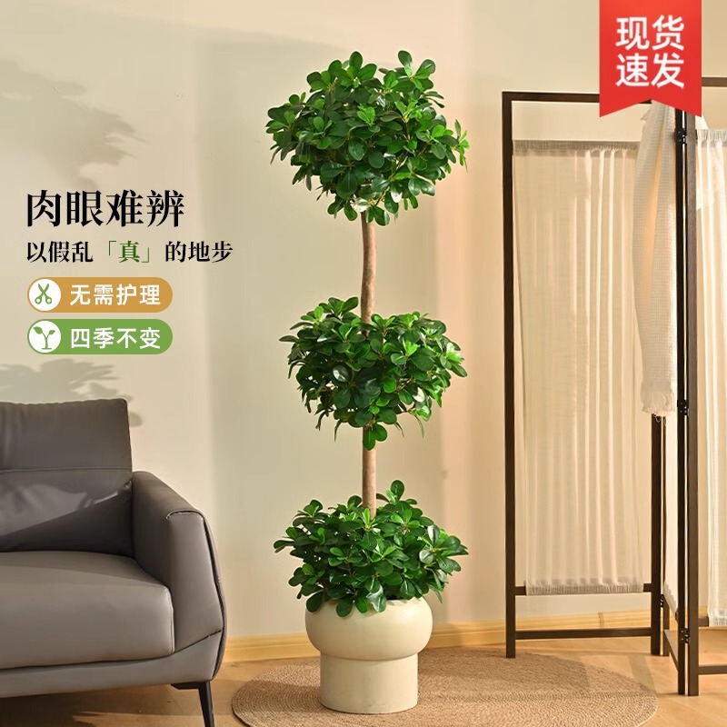 Simulation Plant Money Tree Floor Potted Plant Indoor Large Bionic Green Plant Ornaments Live Room Light Luxury Decorative Flowers Simulation Plant Money Tree Floor Potted Plant Indoor Large Bionic Green Plant Ornaments Live Room Light Luxury Decorative Flowers