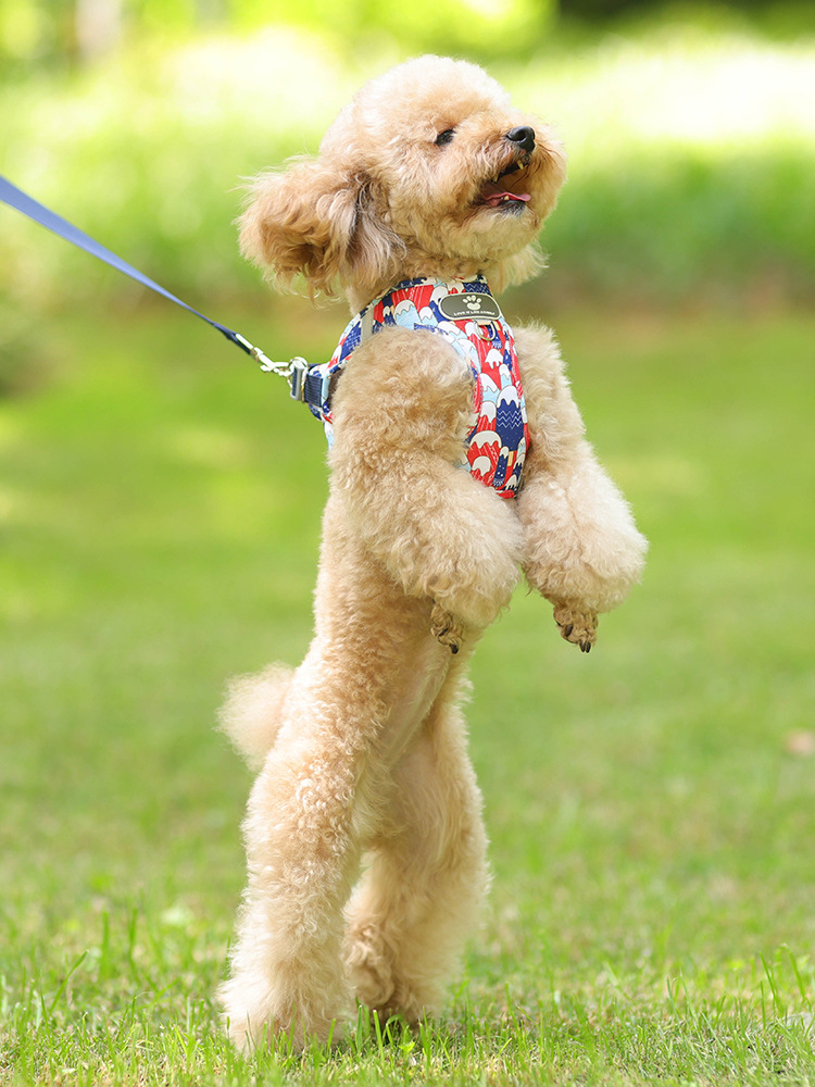 Dog Harness Image 4