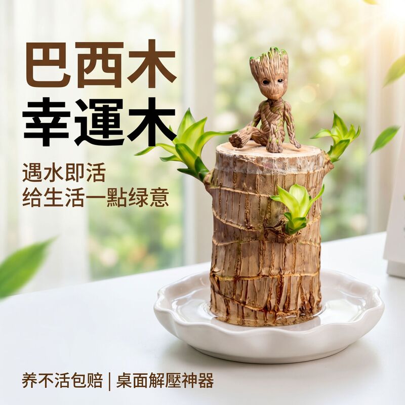 Brazilian Wood Flowering Plant, Water-Cultivated Groot Mini-Figurine, Hydroponic Lucky Tree, Easy-To-Care-For Indoor Plant, Lazy Person's Flower, Green Plant, Potted Plant