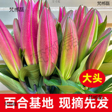 ����Ϧ���˹��������Q��ˮ���^������������ٺ��r��õ����^ֱ�l