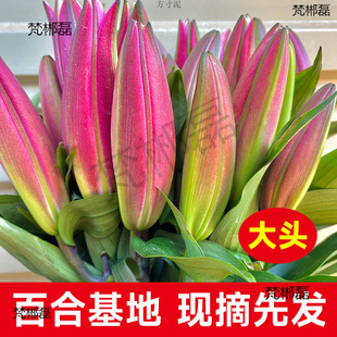 ����Ϧ���˹��������Q��ˮ���^������������ٺ��r��õ����^ֱ�l