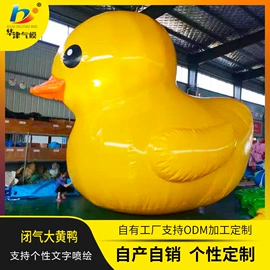 充气模型;气球;游泳池