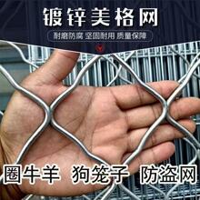 批发钢丝焊接美格网 养殖围栏网菱形铁丝网防盗窗镀锌菱形美格网