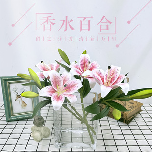 �����֧��ˮ�ٺϻ��������ٻ�������c�쾰���bܛ�b�zӰ�@ˇ�b�