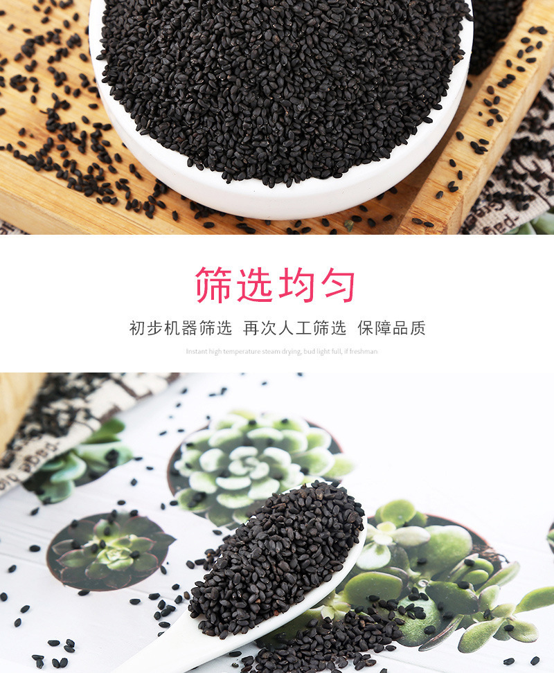 批发大货兰香子 散装包邮珍珠果兰香子罗勒籽明列子 兰香籽花果茶-阿里巴巴