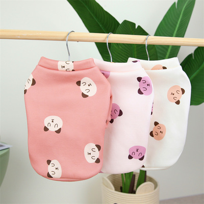 2022新款秋冬大头熊小卫衣现货跨境直发中小型猫咪狗狗宠物服饰|ms