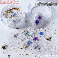 美甲干花闪粉超亮幻彩贝壳闪粉指甲爆闪闪粉亮片百搭美甲闪粉亮片