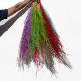龙须草永生花  干花 羽毛草 diy手工花材包