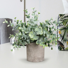 �F؛�������� ����A�����{���˪���ȼ����Gֲ�辰�羳����ֲ��