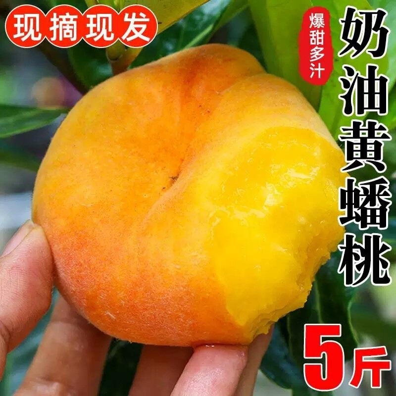 Butter Peach Fresh Fruit Hairless Rainbow Peach Golden Flesh Seasonal Whole Box Cream Peach Shandong Mengyin Almond Butter Peach Fresh Fruit Hairless Rainbow Peach Golden Flesh Seasonal Whole Box Cream Peach Shandong Mengyin Almond
